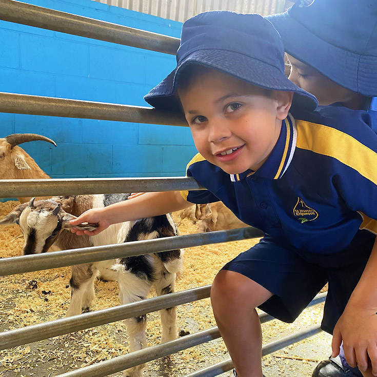 Farm visit for St Josephs Catholic Primary Kingwood students