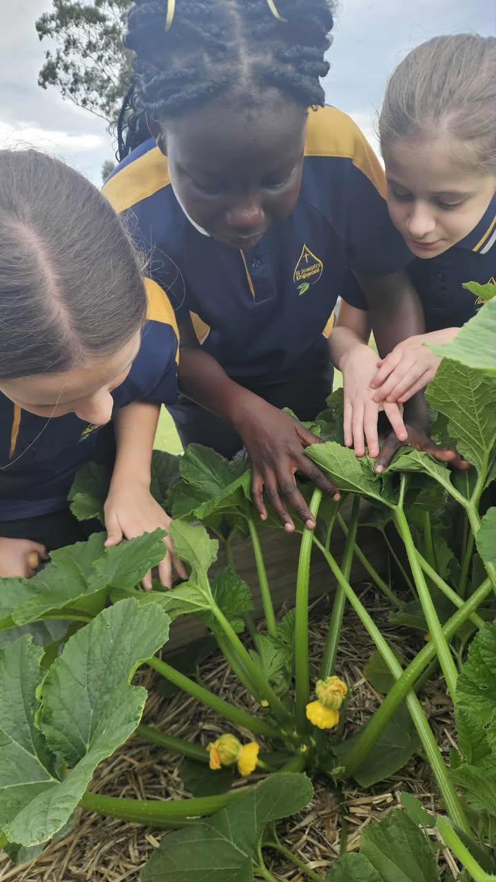 668111002007048_1255895453228597-1