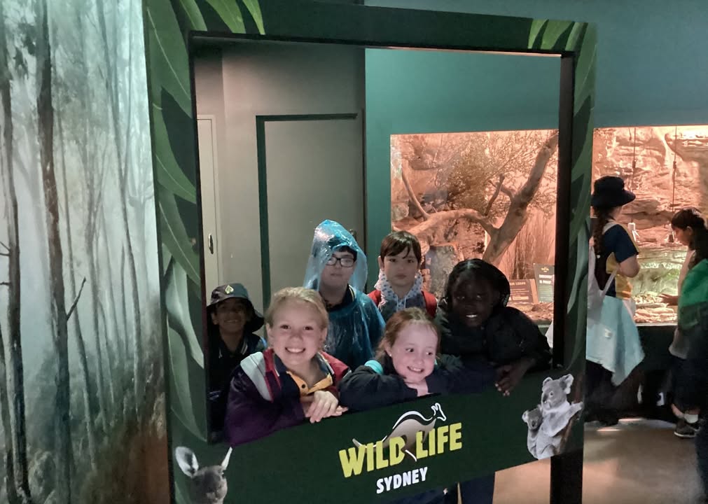 668111002007048_1261082069376602-1