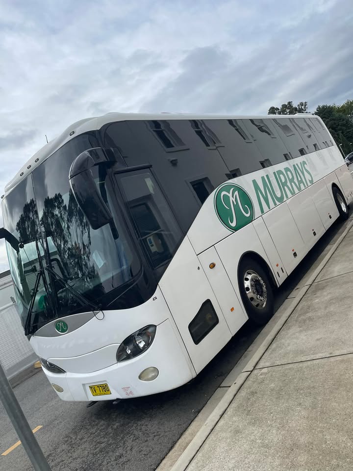 668111002007048_1367204695431005-1